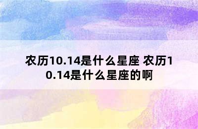 农历10.14是什么星座 农历10.14是什么星座的啊